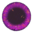 Portal